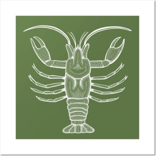 Crayfish or Crawdad Ink Art - cool animal design on green Posters and Art